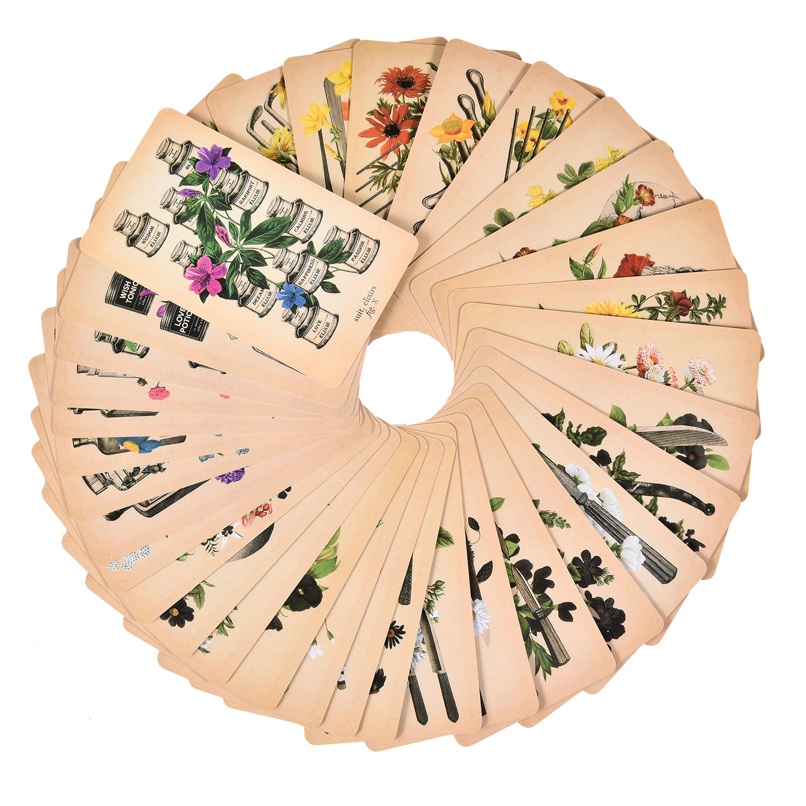 The Antique Anatomy Tarot Card - Board Game Pdf review and price